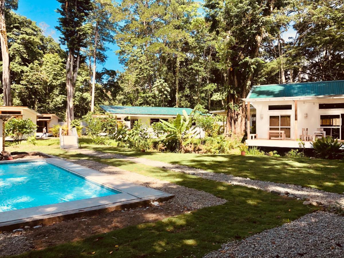 Sonora Jungle & Yoga Retreat Villa Puerto Viejo de Talamanca Exterior foto