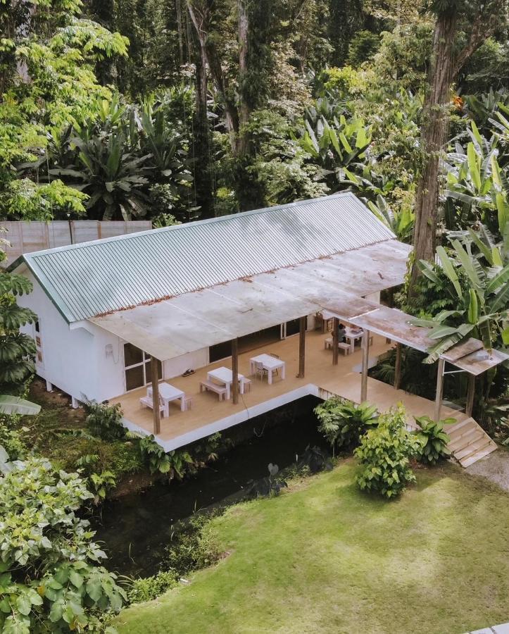 Sonora Jungle & Yoga Retreat Villa Puerto Viejo de Talamanca Exterior foto