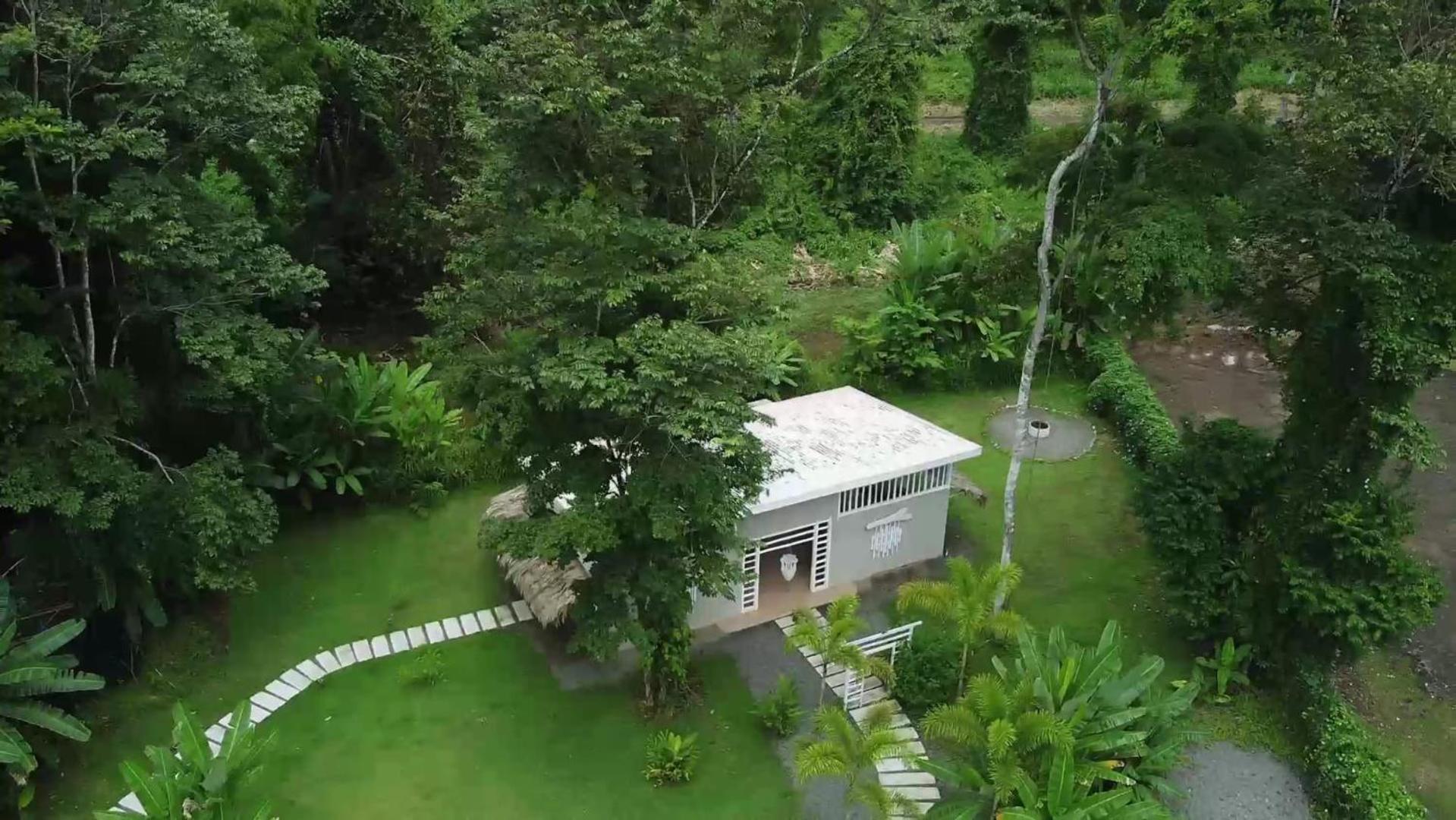 Sonora Jungle & Yoga Retreat Villa Puerto Viejo de Talamanca Exterior foto